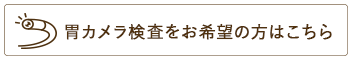 胃カメラ検査をお希望の方はこちら