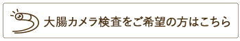 大腸カメラ検査をご希望の方はこちら